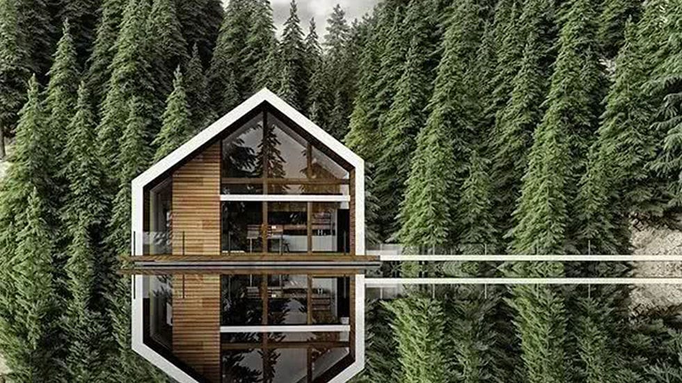 Apex Cabin