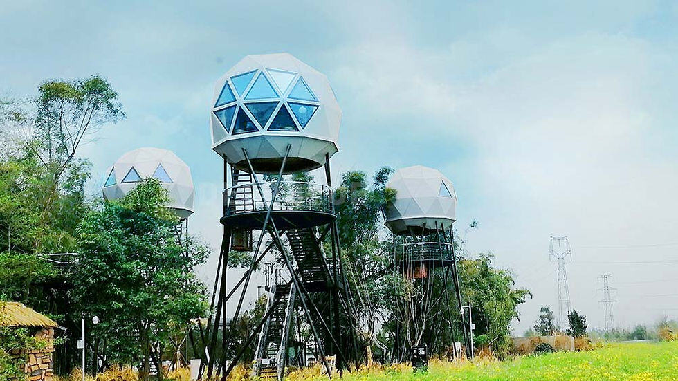 Steel Dome Tree House