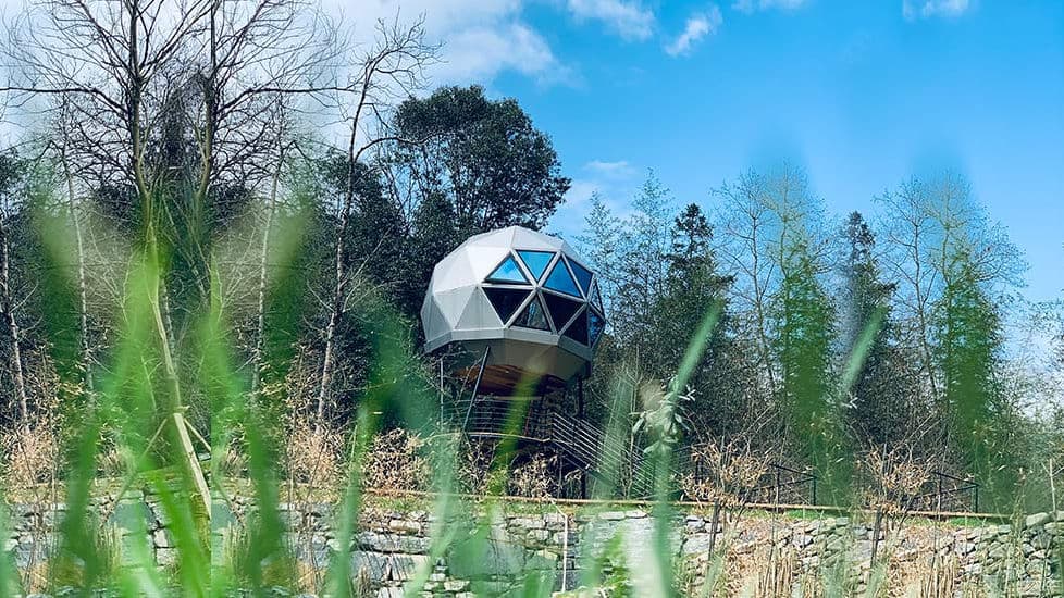 Tree Dome House